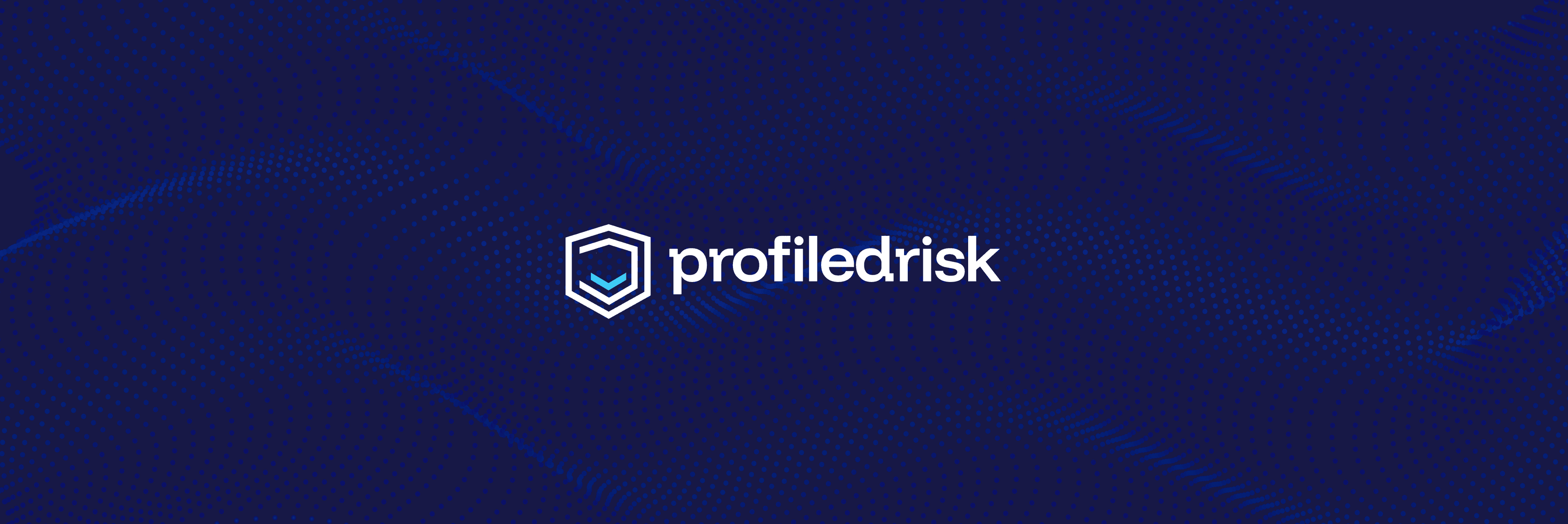 Profiled Risk (YC22)-img-1