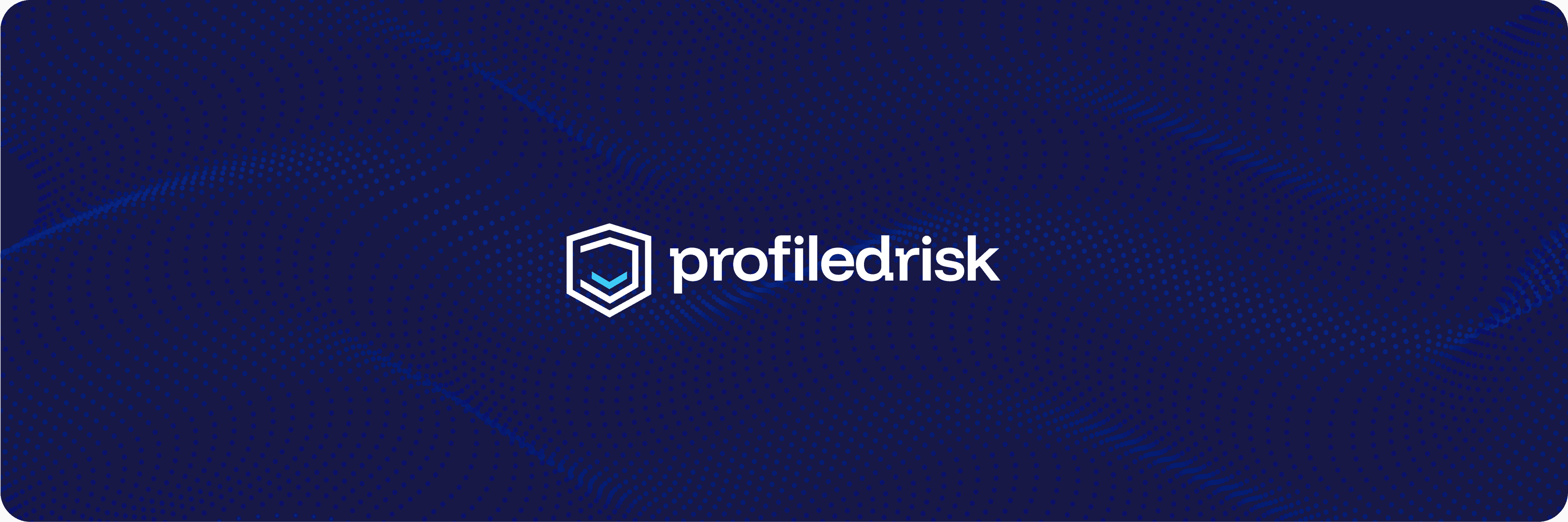 Profiled Risk (YC22)-img-1