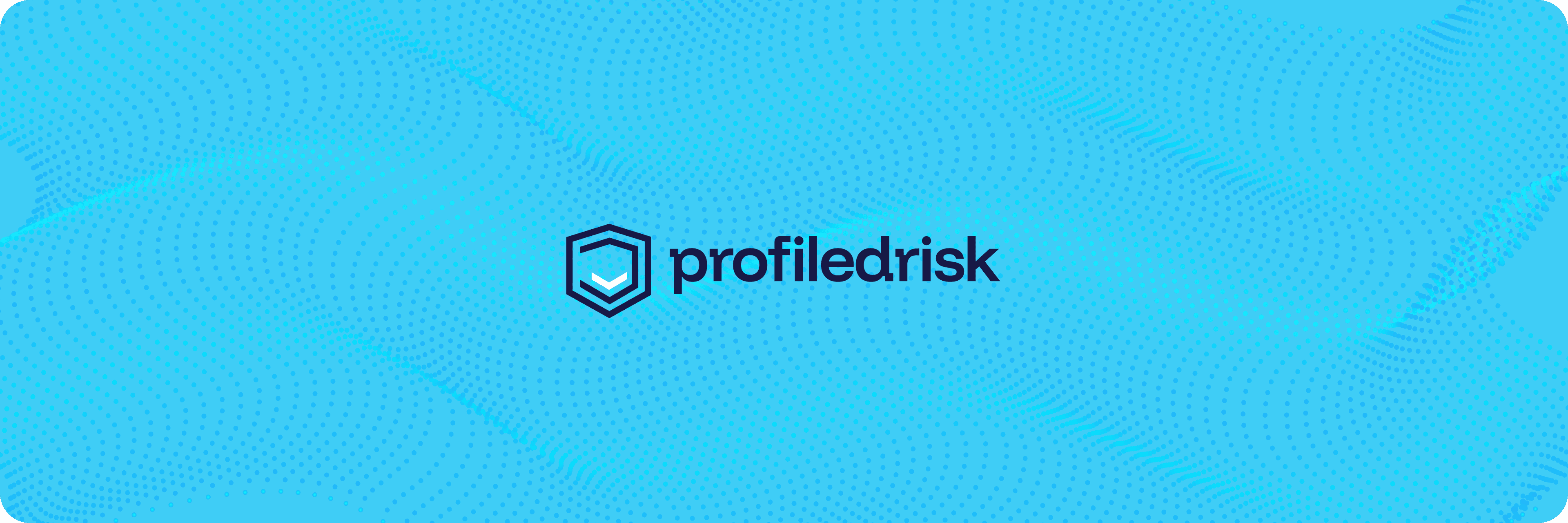 Profiled Risk (YC22)-img-2