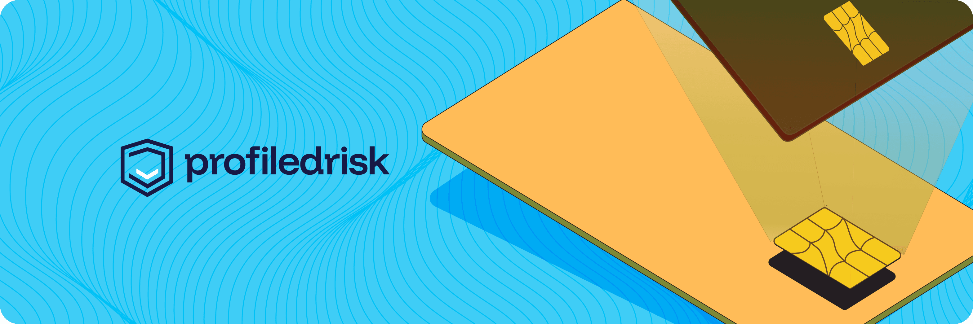 Profiled Risk (YC22)-img-1