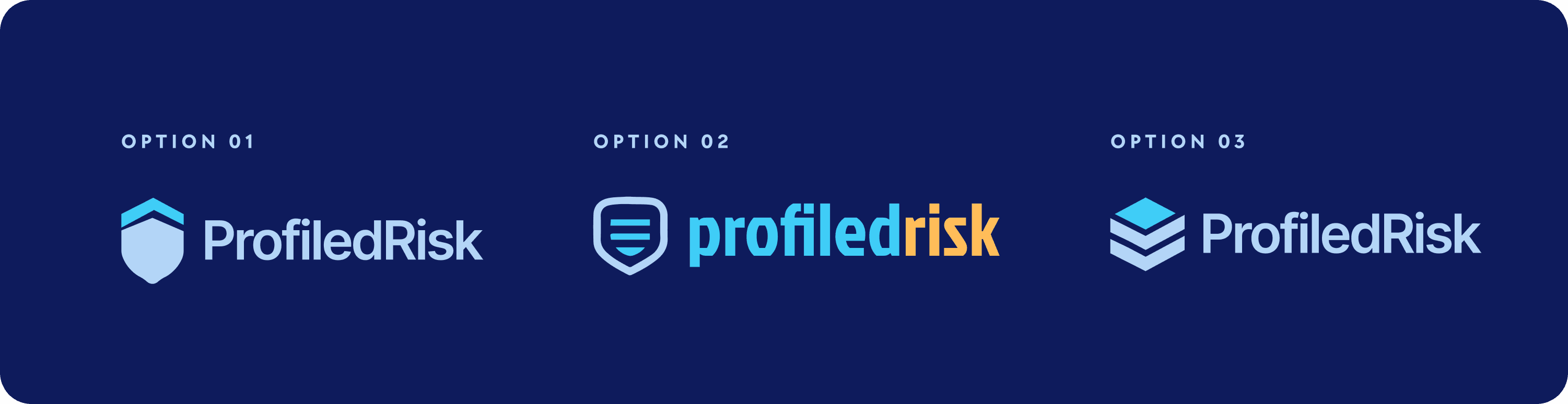 Profiled Risk (YC22)-img-1