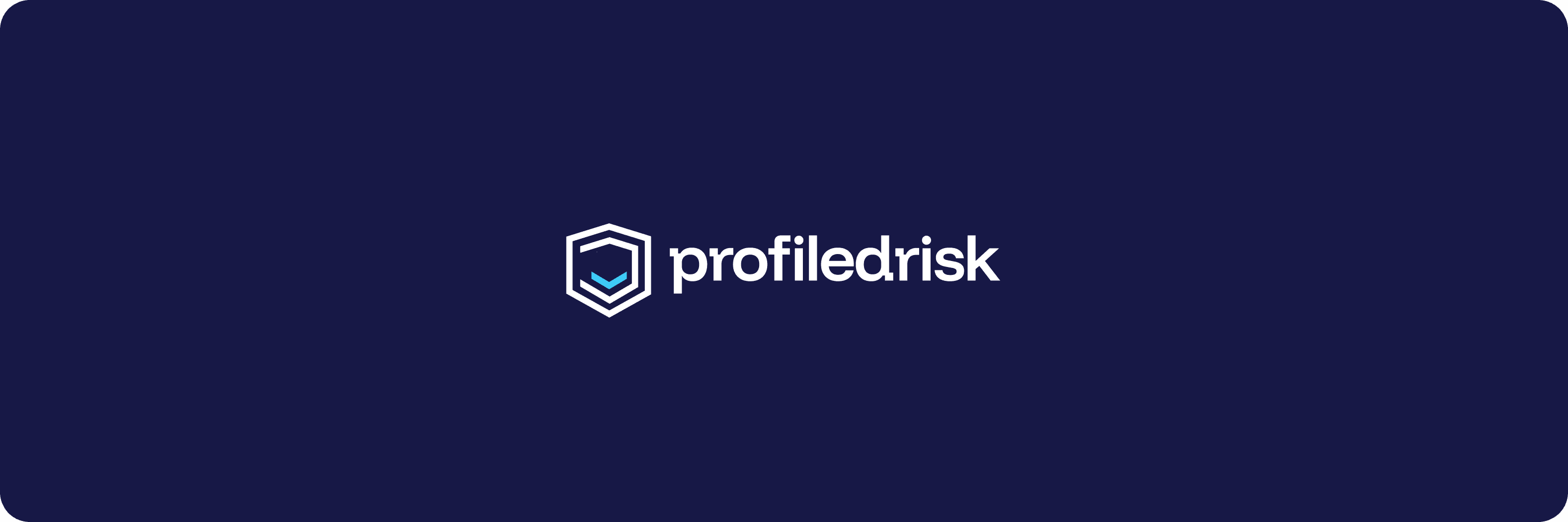 Profiled Risk (YC22)-img-1